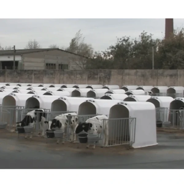 Comfort5 Vasikkaiglujen CalfOtel Comfort 4-osaisella aidalla