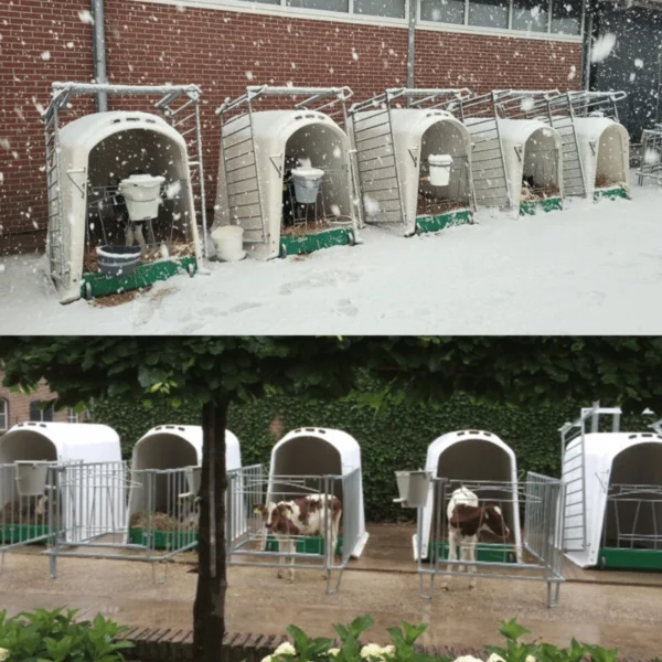 comfort 6 Vasikkaiglujen CalfOtel Comfort 4-osaisella aidalla