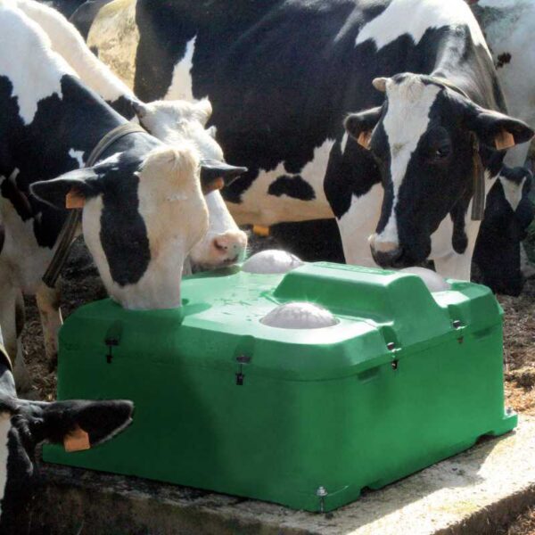 Automaattinen eristetty juoma-allas THERMOLAC 180 GV