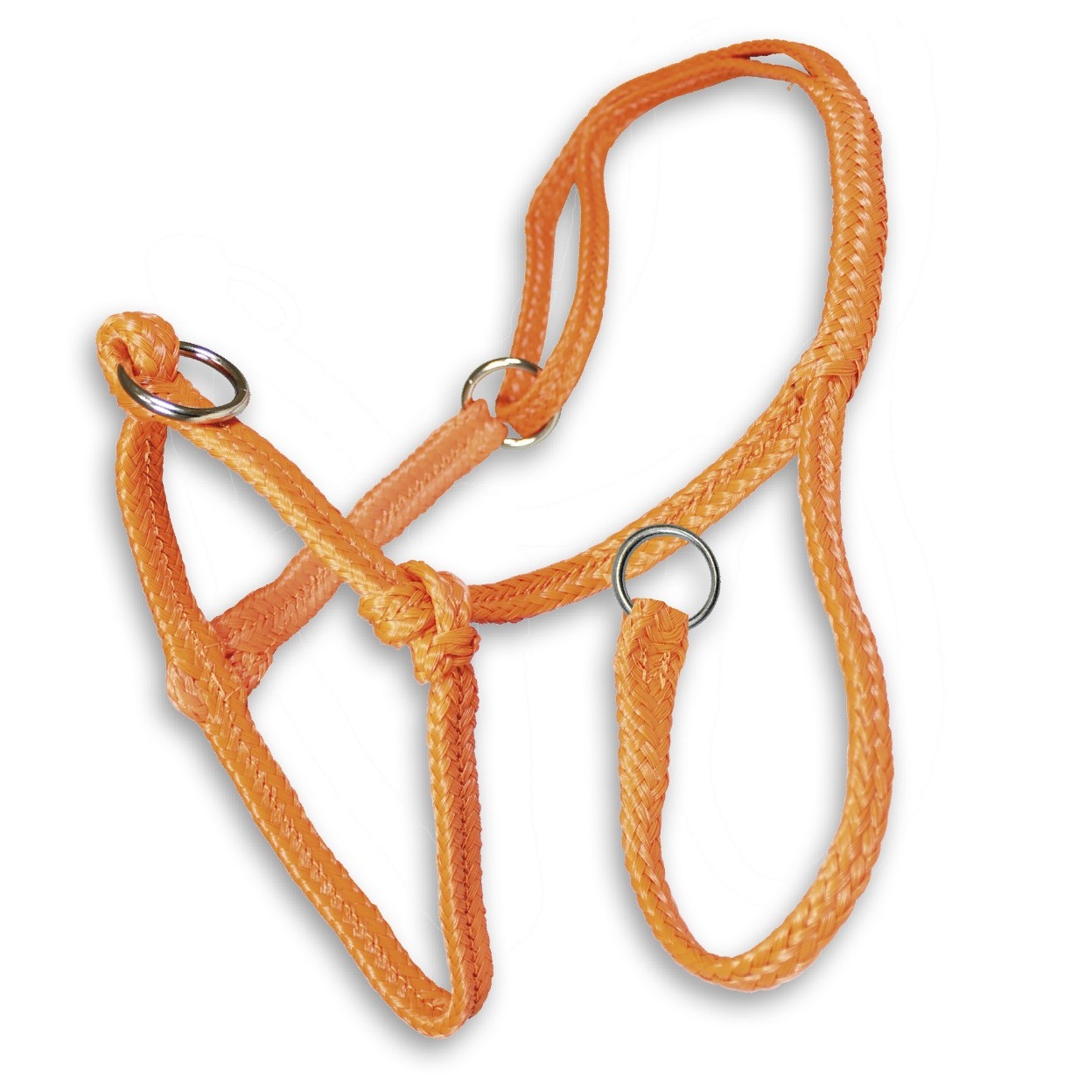 Lehmän riimu 