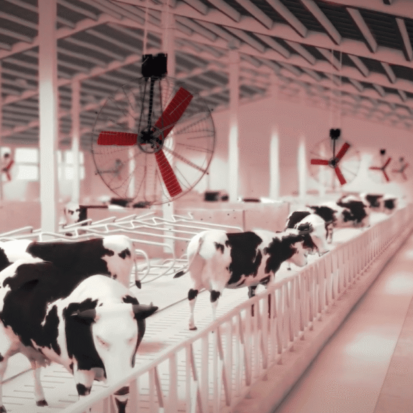 Basket ventilaator MULTIFAN 1300 mm, 0,63 kW, 40100 m³/h