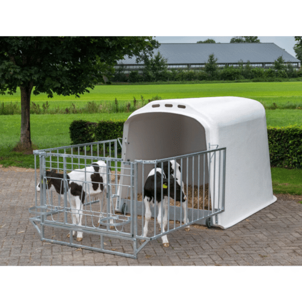 Vasikkaiglu CalfOTel XL-2 aidalla