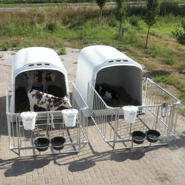 Vasikkaiglu CalfOTel XL-2 aidalla