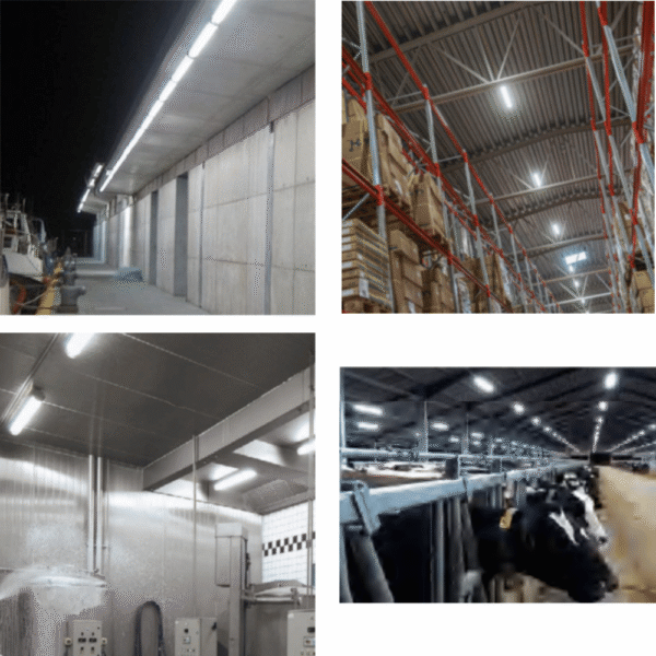 Led-Triproof 5.1 LED-valaisin – putkivalaisin 40 W / 150 lm, IP69K