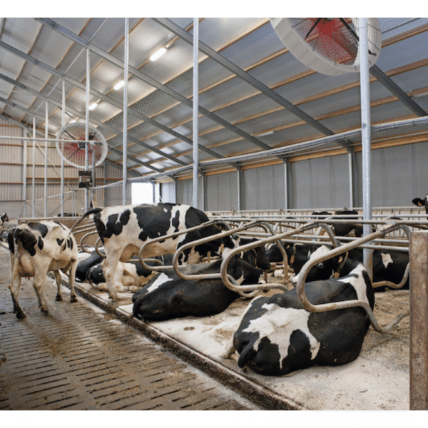 Ventilaatori pilt Tuuletin Multifan AirBreeze 1500 mm, 48 150 m³/h