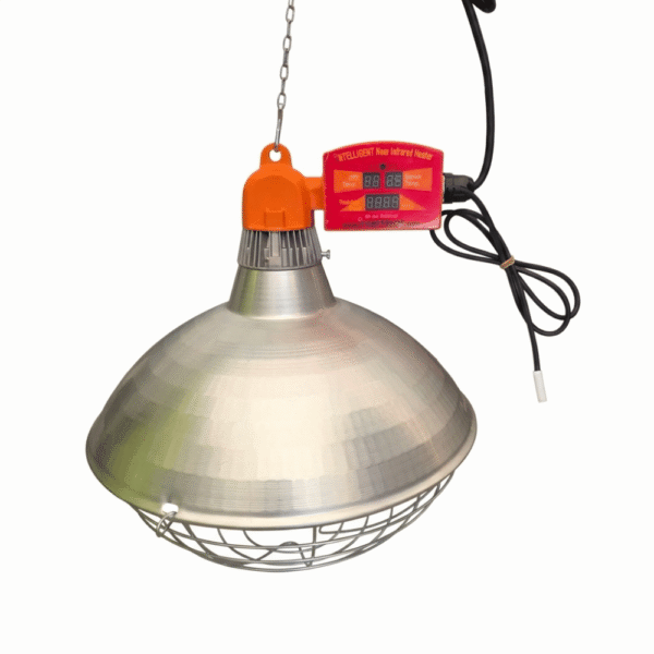 Soojenduslamp Vasikate soojenduslamp