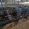 Meedium-2-scaled Plastvasikaboks Calf-QuickBox 1.2 (0-3 kuud) betoonseinale