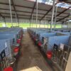 Meedium-3-scaled Plastvasikaboks Calf-QuickBox 1.2 (0-3 kuud) betoonseinale