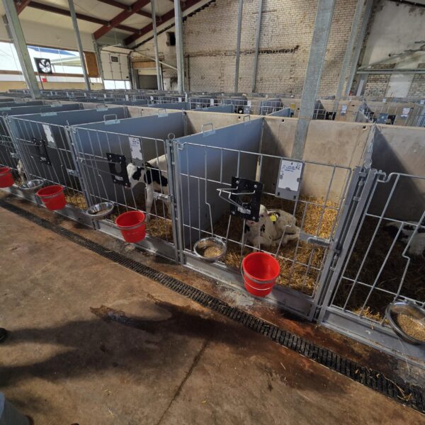 Meedium-4-scaled Plastvasikaboks Calf-QuickBox 1.2 (0-3 kuud) betoonseinale