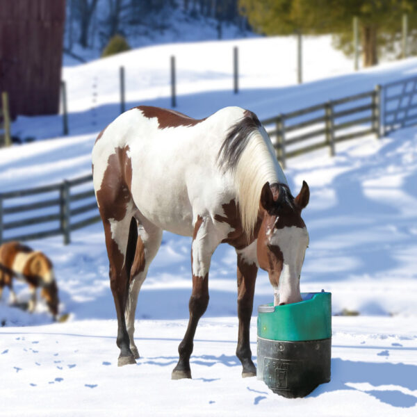 lakcho180-horse LAKCHO 2 soojendusega jootur hobuse kasutuses talvel